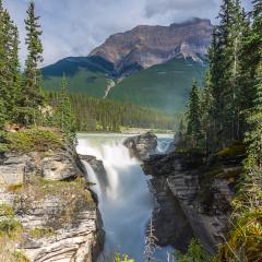 Mountains, rivers and waterfalls make up magnificent landscapes. Jasper Park. Rocky Mountains of Canada. Athabasca Falls. Travel, ecological and photo tourism concept : Stock Photo or Stock Video Download rcfotostock photos, images and assets rcfotostock | RC-Photo-Stock.: