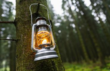 oil lamp or kerosene lamp used at dusk hangs on a tree in a forest- Stock Photo or Stock Video of rcfotostock | RC Photo Stock