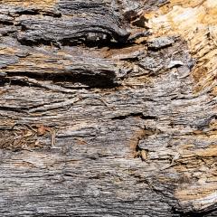 old damage wood with cracks - Stock Photo or Stock Video of rcfotostock | RC Photo Stock
