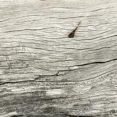 old gray wood with cracks texture- Stock Photo or Stock Video of rcfotostock | RC Photo Stock