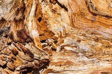 old wood structure texture- Stock Photo or Stock Video of rcfotostock | RC Photo Stock