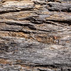 old wood with cracks - Stock Photo or Stock Video of rcfotostock | RC-Photo-Stock