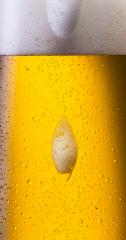 overflowing beer with dew drops : Stock Photo or Stock Video Download rcfotostock photos, images and assets rcfotostock | RC-Photo-Stock.: