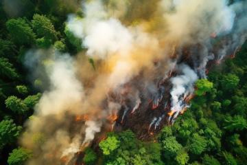 Overhead view of a forest segment being engulfed in flames and smoke, with adjacent areas of lush green trees untouched by the fire- Stock Photo or Stock Video of rcfotostock | RC Photo Stock