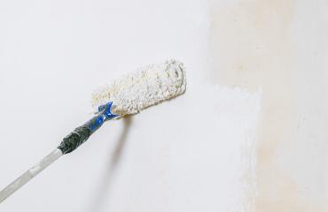 Painter working with paint roller and brushes to paint the room- Stock Photo or Stock Video of rcfotostock | RC Photo Stock