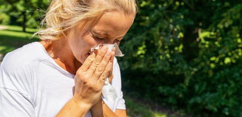 Panorama of sick or allergic woman sneezing with tissue- Stock Photo or Stock Video of rcfotostock | RC-Photo-Stock
