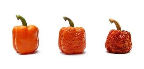 paprika aging orange collage : Stock Photo or Stock Video Download rcfotostock photos, images and assets rcfotostock | RC Photo Stock.: