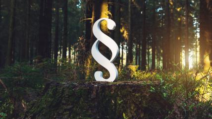 Paragraph Symbol Justice Sign in forest on tree trunk- Stock Photo or Stock Video of rcfotostock | RC Photo Stock
