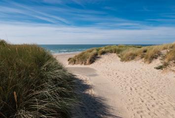 path to the beach on North Sea in Holland, Netherlands- Stock Photo or Stock Video of rcfotostock | RC-Photo-Stock