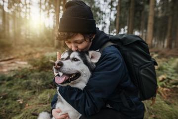 Person with a cute white-black husky dog in the forest. Autumn mood. Enjoy life and lovely friendship with with a pet.  : Stock Photo or Stock Video Download rcfotostock photos, images and assets rcfotostock | RC Photo Stock.: