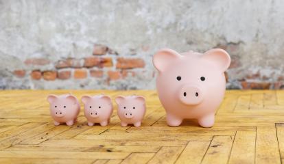 Piggy Bank family save money investment   : Stock Photo or Stock Video Download rcfotostock photos, images and assets rcfotostock | RC-Photo-Stock.: