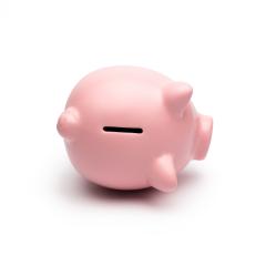 Piggy bank lying isolated on white background- Stock Photo or Stock Video of rcfotostock | RC-Photo-Stock