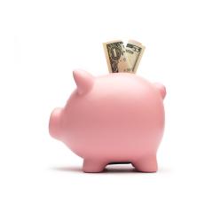 Piggy bank with one dollar notes on white background- Stock Photo or Stock Video of rcfotostock | RC-Photo-Stock