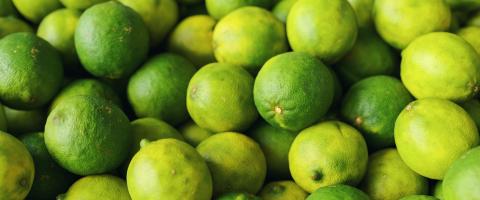 pile heap stack of lime limes at farmers market grocery fruit stand : Stock Photo or Stock Video Download rcfotostock photos, images and assets rcfotostock | RC Photo Stock.: