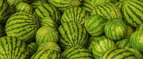 Pile of big sweet green watermelons- Stock Photo or Stock Video of rcfotostock | RC Photo Stock