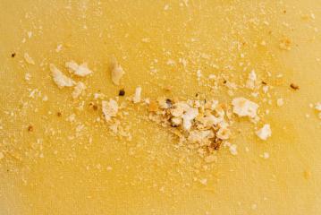 Pile of breadcrumbs on a plastic cutting board- Stock Photo or Stock Video of rcfotostock | RC Photo Stock