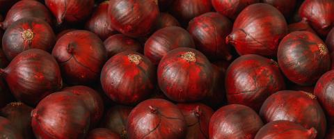 Pile of Fresh whole purple onions- Stock Photo or Stock Video of rcfotostock | RC Photo Stock