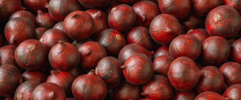 Pile of Fresh whole purple onions- Stock Photo or Stock Video of rcfotostock | RC Photo Stock
