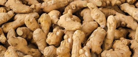 Pile of Ginger at supermarket- Stock Photo or Stock Video of rcfotostock | RC Photo Stock