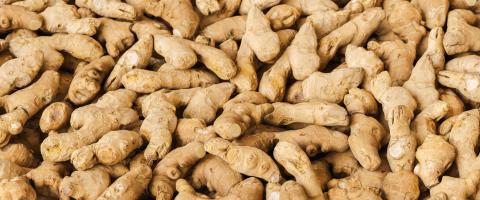 Pile of Ginger roots at market- Stock Photo or Stock Video of rcfotostock | RC Photo Stock