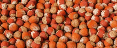 pile of Hazelnuts at market : Stock Photo or Stock Video Download rcfotostock photos, images and assets rcfotostock | RC Photo Stock.: