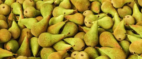 pile of Pears at a fruit market- Stock Photo or Stock Video of rcfotostock | RC Photo Stock