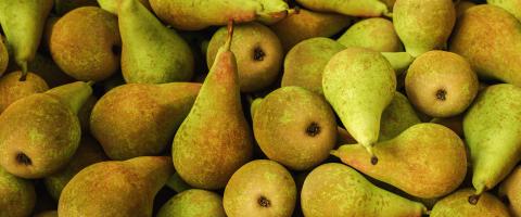 pile of Pears at a market- Stock Photo or Stock Video of rcfotostock | RC Photo Stock