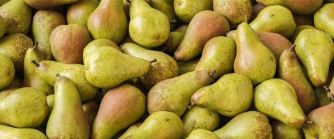 pile of Pears, vegan food- Stock Photo or Stock Video of rcfotostock | RC Photo Stock