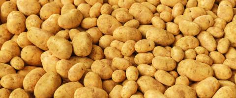 pile of Potatoes on a market- Stock Photo or Stock Video of rcfotostock | RC Photo Stock