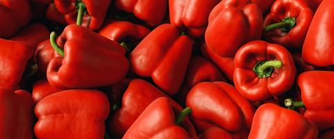 Pile of red paprika peppers as background, closeup- Stock Photo or Stock Video of rcfotostock | RC-Photo-Stock