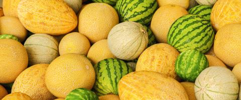 pile of watermelons and honeydew melons on a market- Stock Photo or Stock Video of rcfotostock | RC Photo Stock