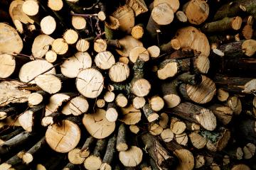 Pile of wood forming a wall. Environmental ecology problems. Deforestation process. background with logs.- Stock Photo or Stock Video of rcfotostock | RC Photo Stock