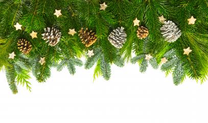 pine branches christmas background- Stock Photo or Stock Video of rcfotostock | RC Photo Stock