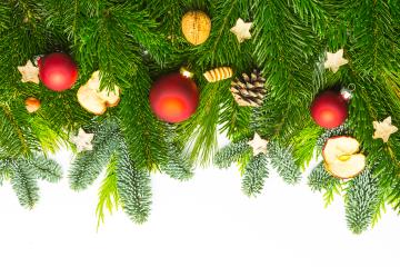 pine branches with christmas decorations - Stock Photo or Stock Video of rcfotostock | RC Photo Stock
