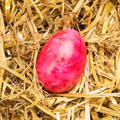 pink easter egg on straw- Stock Photo or Stock Video of rcfotostock | RC Photo Stock