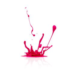 pink paint splash isolated on white- Stock Photo or Stock Video of rcfotostock | RC Photo Stock