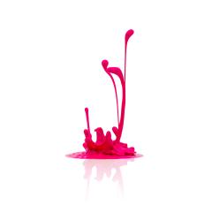 pink paint splash isolated on white- Stock Photo or Stock Video of rcfotostock | RC-Photo-Stock
