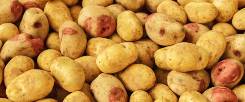 Potatoes as pile vegetable food background- Stock Photo or Stock Video of rcfotostock | RC Photo Stock