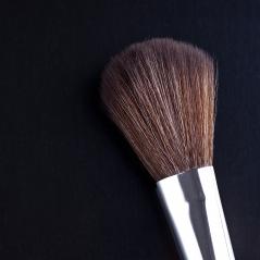 powderbrush on black background : Stock Photo or Stock Video Download rcfotostock photos, images and assets rcfotostock | RC Photo Stock.: