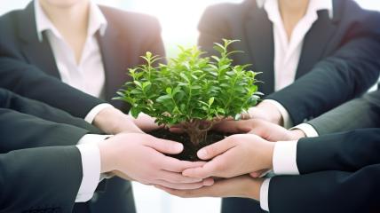 Professionals holding a small tree symbolizing business growth and environment care- Stock Photo or Stock Video of rcfotostock | RC Photo Stock