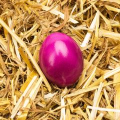 purple easter egg in straw- Stock Photo or Stock Video of rcfotostock | RC Photo Stock
