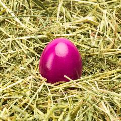 purple easter egg on hay- Stock Photo or Stock Video of rcfotostock | RC Photo Stock