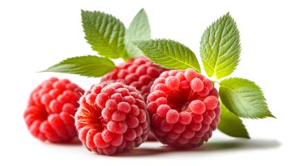 Raspberries on white background (Generative AI)- Stock Photo or Stock Video of rcfotostock | RC Photo Stock