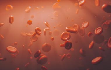 Red Blood Cells -  3D Photorealistic rendering- Stock Photo or Stock Video of rcfotostock | RC-Photo-Stock