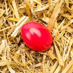 red easter egg lies in straw- Stock Photo or Stock Video of rcfotostock | RC-Photo-Stock