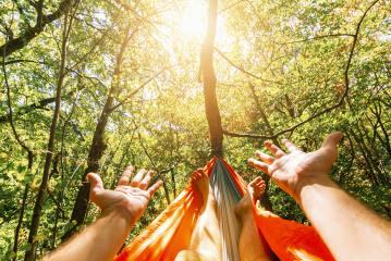 relaxing in the hammock at summer : Stock Photo or Stock Video Download rcfotostock photos, images and assets rcfotostock | RC Photo Stock.: