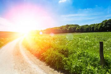 road landscape view with sunlight- Stock Photo or Stock Video of rcfotostock | RC Photo Stock