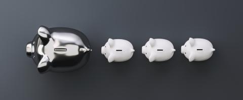 silver piggy bank as row leader, investment and development concept- Stock Photo or Stock Video of rcfotostock | RC Photo Stock