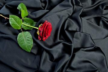 smooth black satin and red rose : Stock Photo or Stock Video Download rcfotostock photos, images and assets rcfotostock | RC-Photo-Stock.: