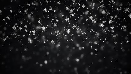 Snowflakes of different shapes and sizes on a dark field
- Stock Photo or Stock Video of rcfotostock | RC Photo Stock